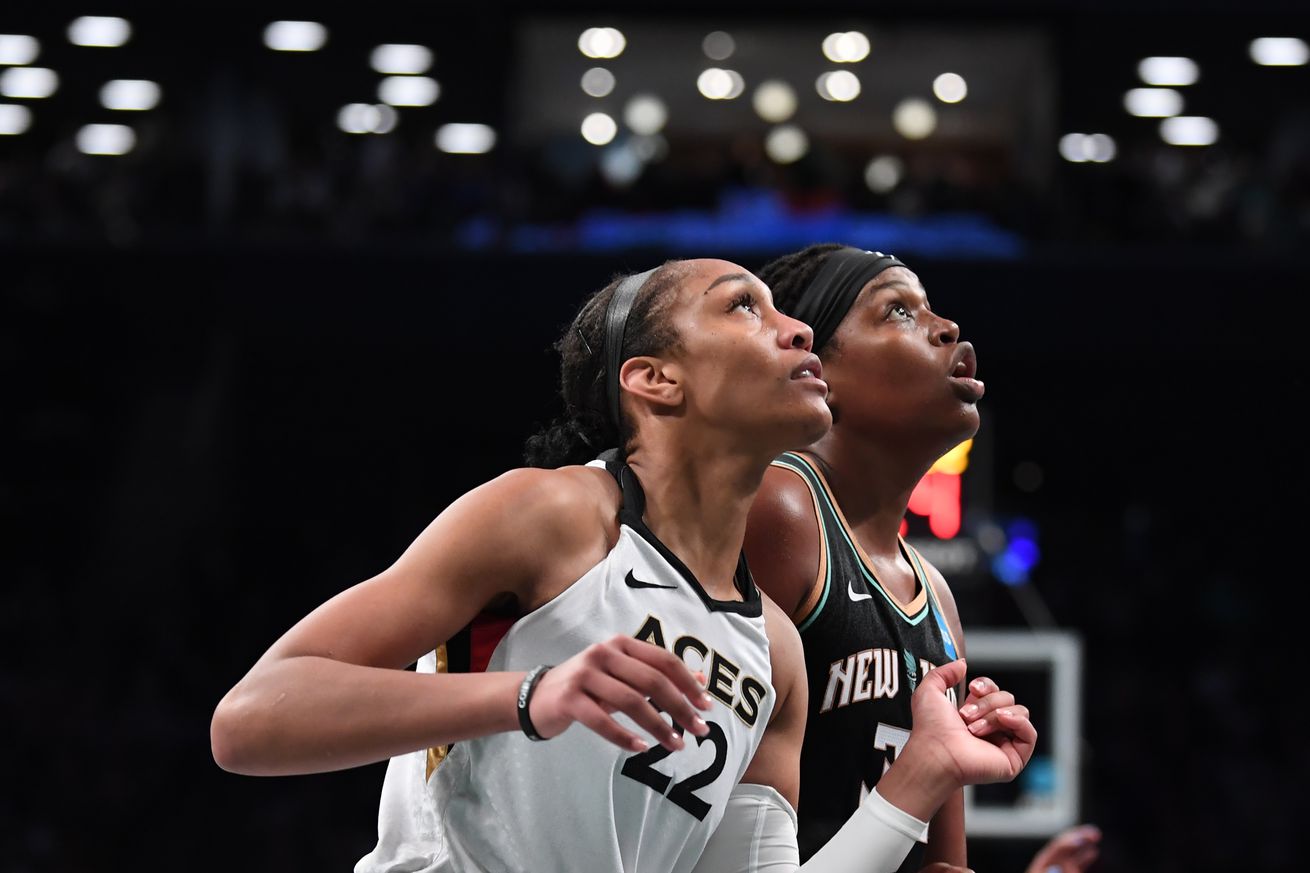 2024 WNBA Season Previews