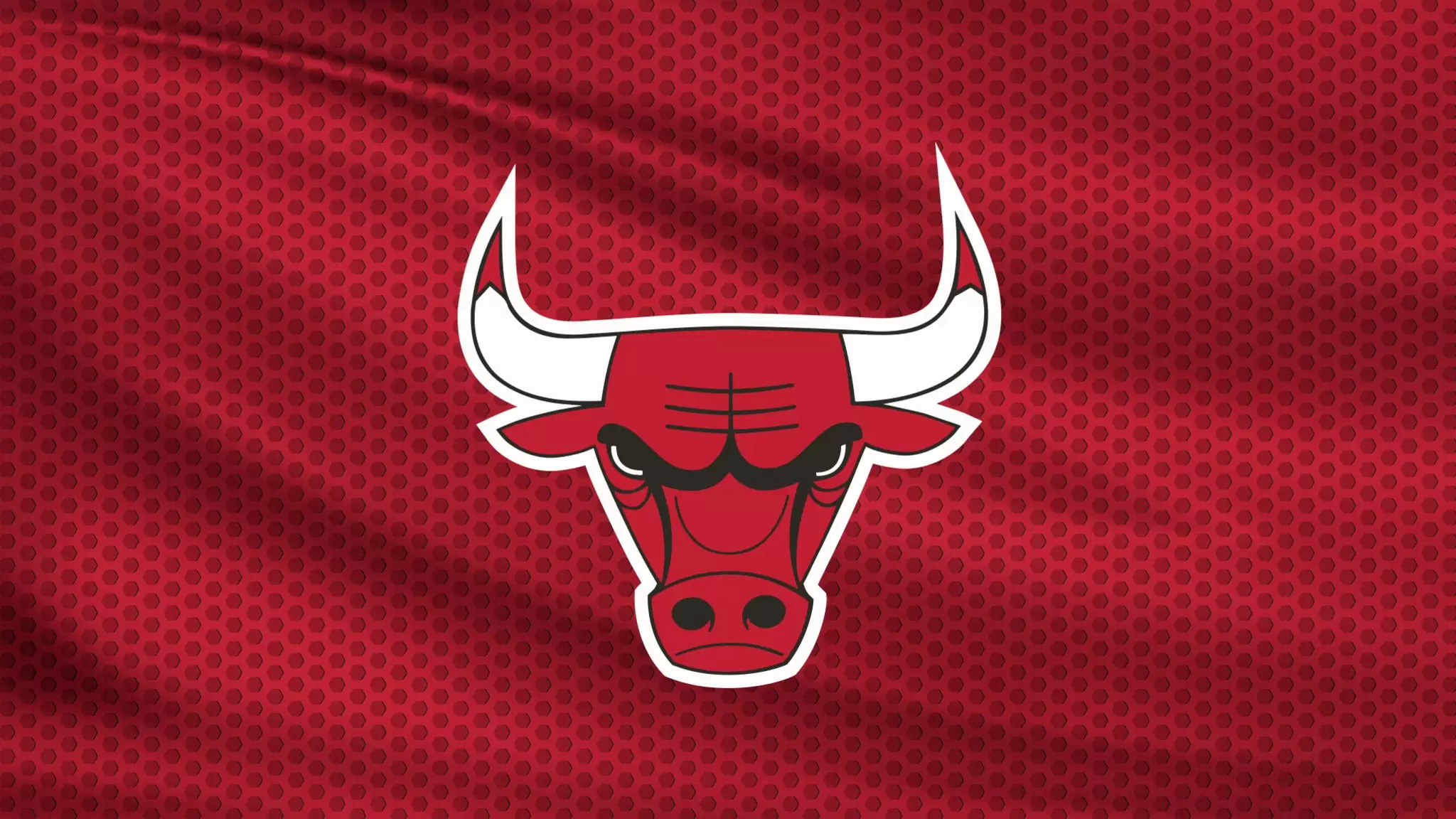 Chicago Bulls still pursuing Dave Lewin